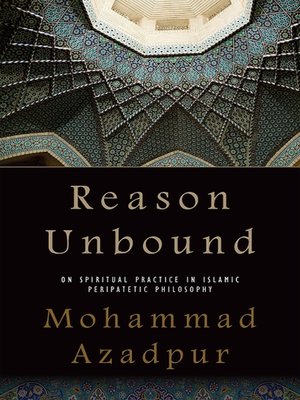 cover image of Reason Unbound